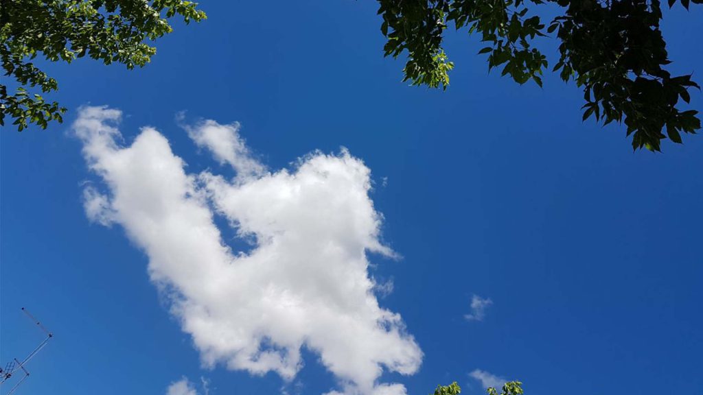رویای آرین عظیمی
